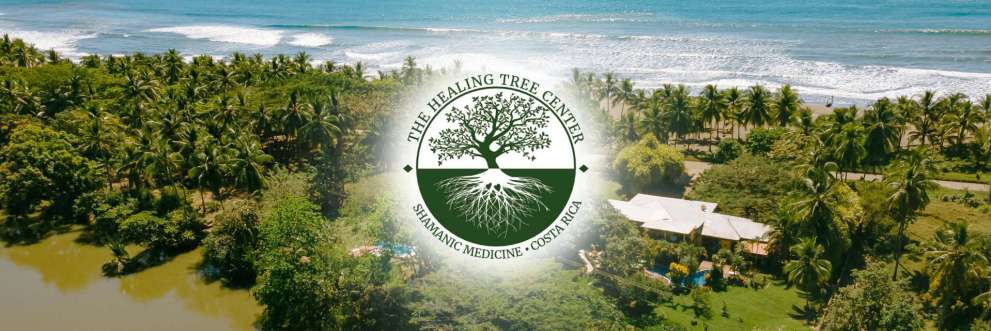 The Healing Tree Center | Costa Rica