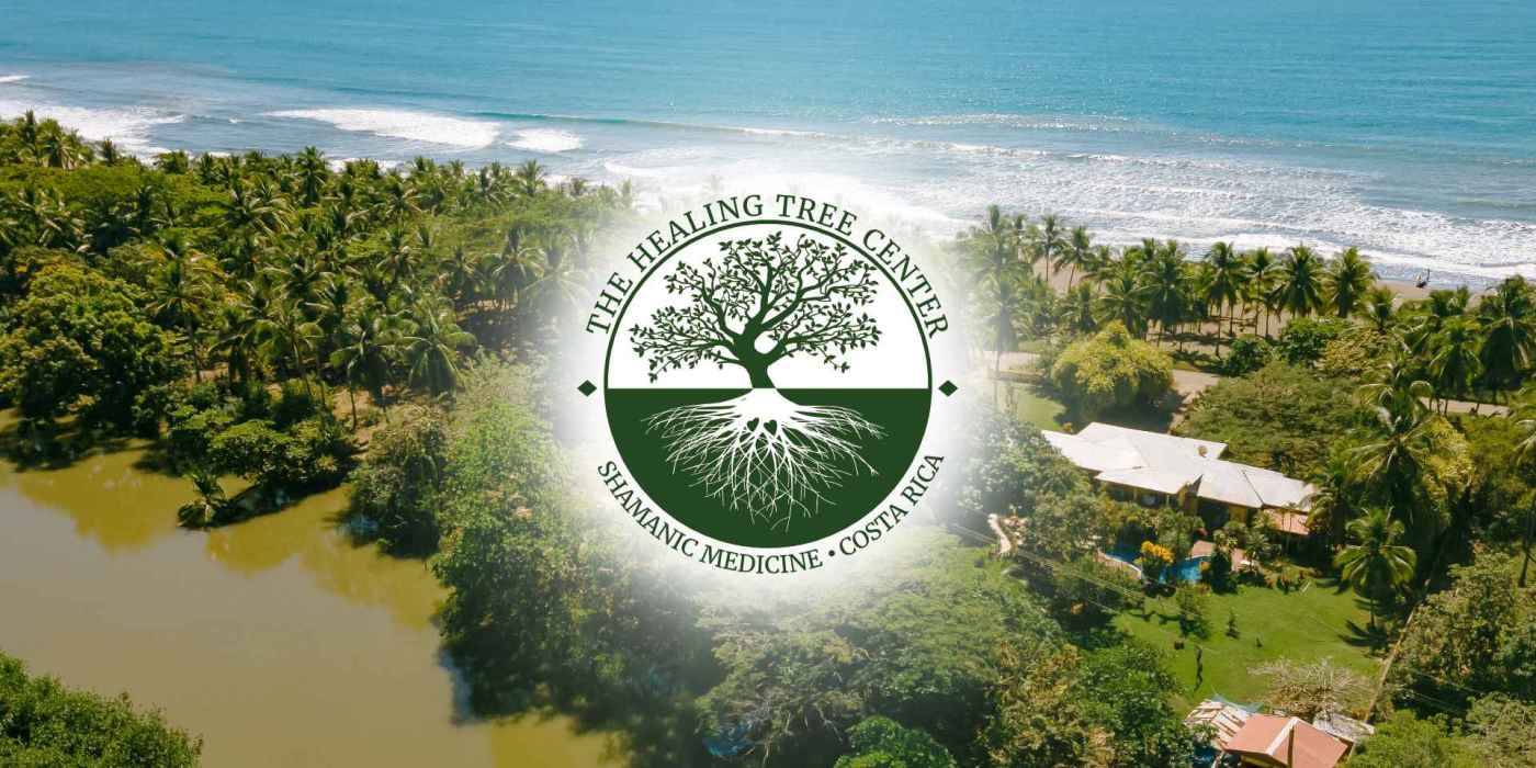 The Healing Tree Center | Costa Rica