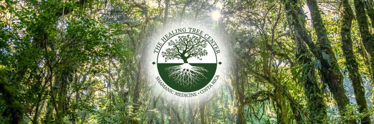 The Healing Tree Center | Costa Rica