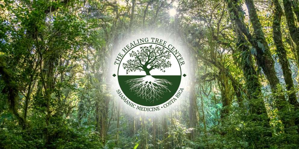 The Healing Tree Center | Costa Rica