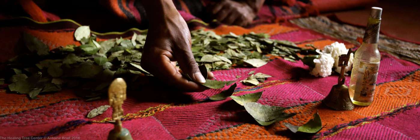 La Lectura de Hoja de Coca