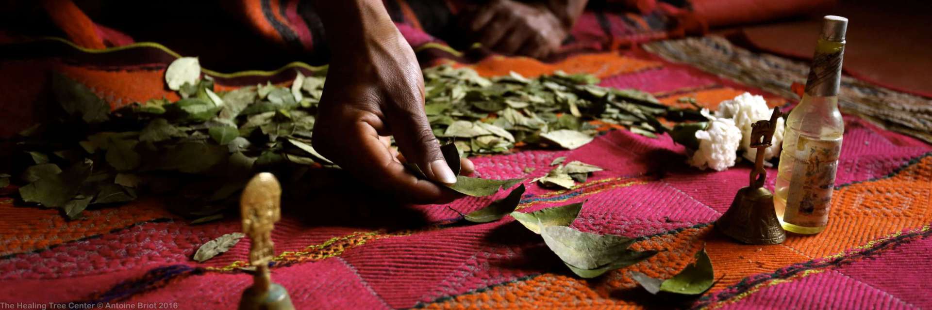 The Coca Leaf Reading in the Andes