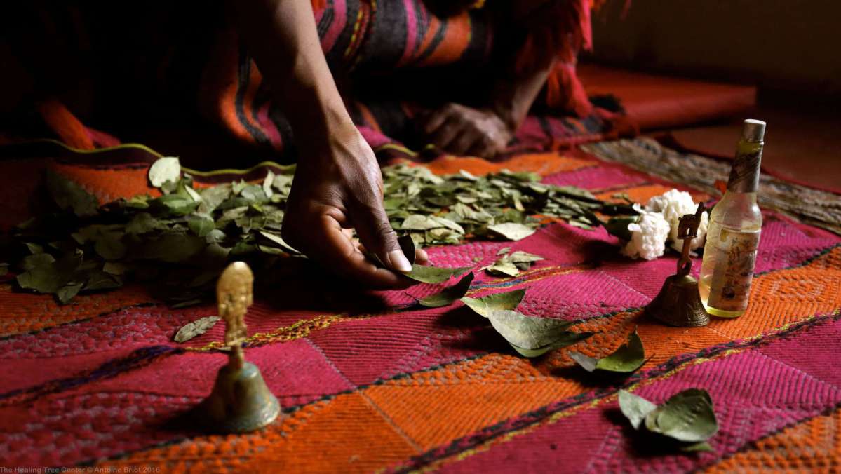 La Lectura de Hoja de Coca