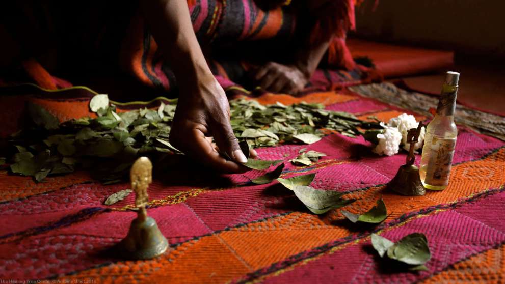 The Coca Leaf Reading in the Andes